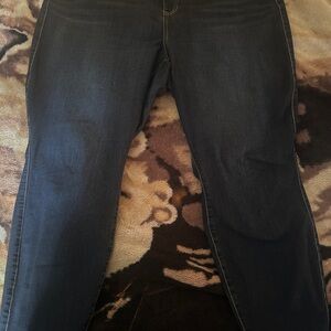 Torrid Dark Blue Denim Jeggings with Button Accents